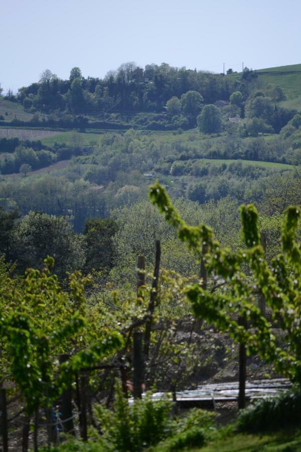 Gite Les Pins Montchenu Dış mekan fotoğraf